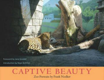 Captive Beauty