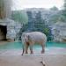 Elephant,Fresno,1998