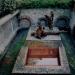 Bear,Paris,1998