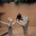 Chimpanzee,Germany,2000
