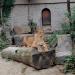 Lion,Holland,2000