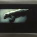Untitled,1994